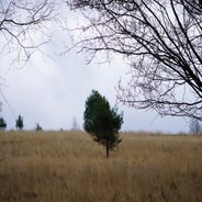 dsc00903jpg.jpg
