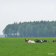 P1020220.jpg