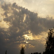 dsc03105jpg.jpg
