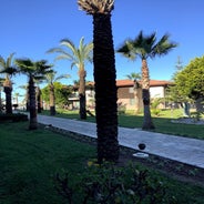 IMG_0067.jpg