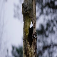 dsc00900jpg.jpg