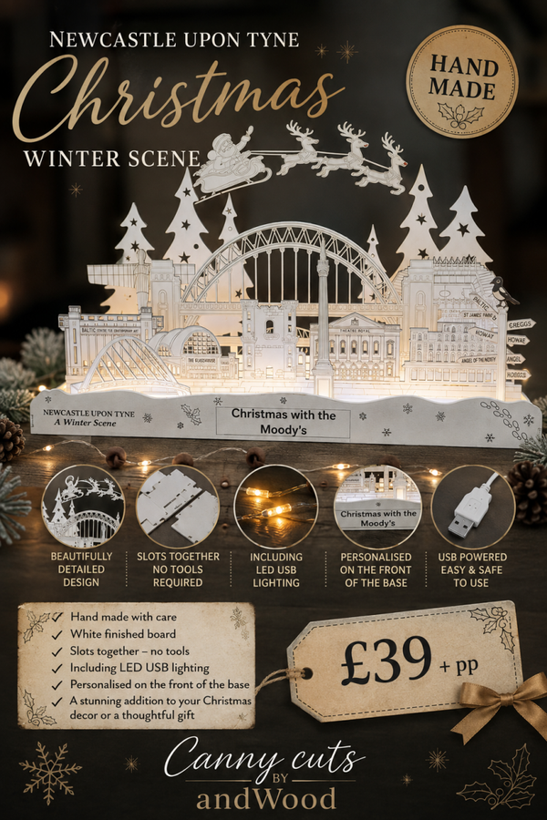 NEWCASTLE WINTER SCENE