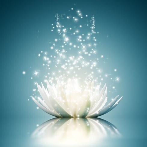 Daily Dose  (Custom)