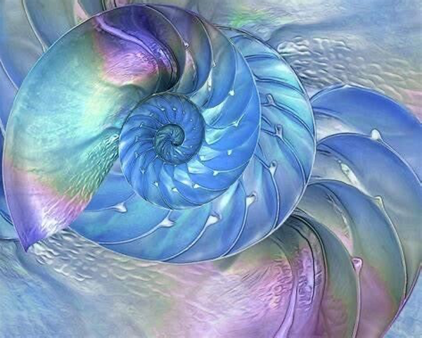 Timeless Tidings of JOY