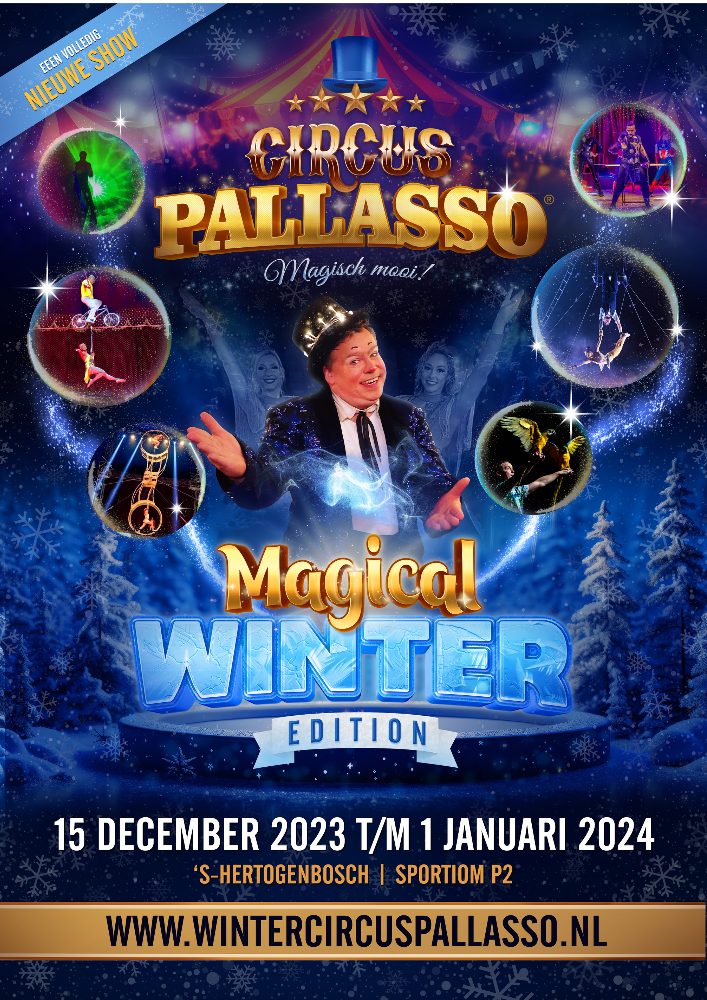 Circus Pallasso ( Pallasso de officiële website van Clown Erico en Clown Marcel )