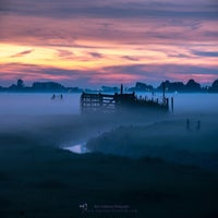 a-foggy-startup-standard-19xhjf.jpg
