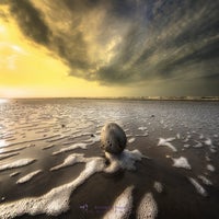 a-stone-in-the-sea-standard-i34qaz.jpg