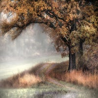 autumn-in-kalmar-district-standard-91pkpg.jpg