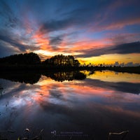 calm-dutch-evening-standard-ldfgpx.jpg