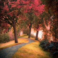 curvy-way-standard-malnhl.jpg