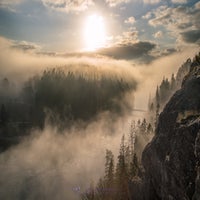 foggy-mornig-forrest-standard-uzob97.jpg