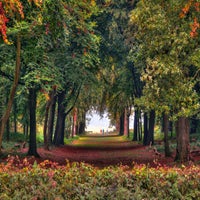 forrest-autumn-3-standard-7j099r.jpg