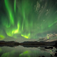 green-is-everywhere-standard-4motci.jpg