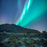 green-purple-en-blue-standard-emp2xt.jpg