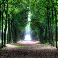 heiloo-forrest-standard-8vz29e.jpg