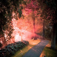 hello-morning-sunshine-standard-u346e1.jpg