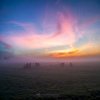 just-two-fences-standard-2hht2h.jpg