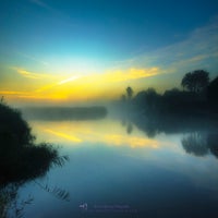 misty-morning-in-holland-standard-jyhhb2.jpg