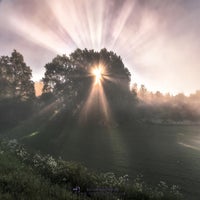morning-stripes-standard-vlr3kh.jpg