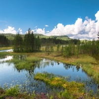 national-park-fulufj-llet-standard-uwh0jf.jpg