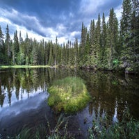 rough-nature-standard-e3koqx.jpg