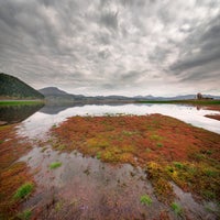 swedens-lapland-2-standard-9xs0v1.jpg