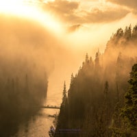 this-yellow-fog-standard-davysh.jpg