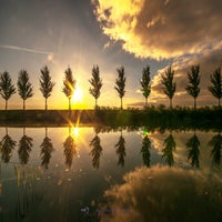treeline-standard-bik457.jpg