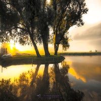 vroege-ochtend-zon-in-de-polder-standard-3inok2.jpg