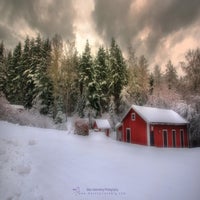 wintertimes-can-be-beautiful-standard-xzol97.jpg