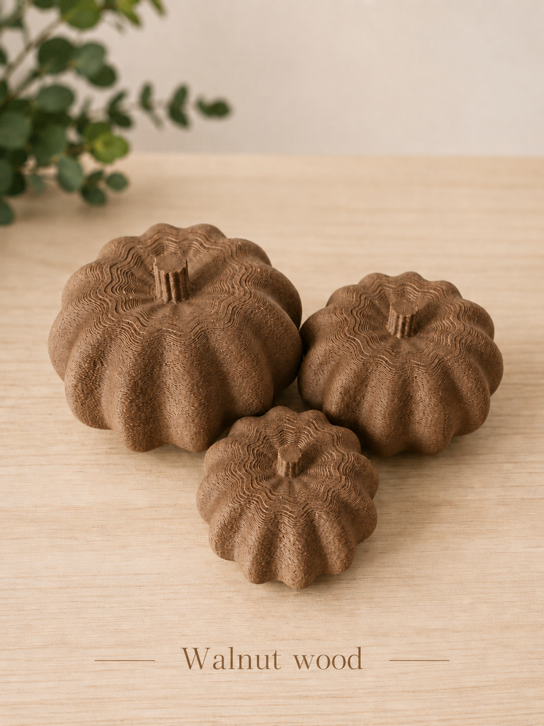 Pompoen set van 3
