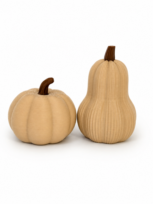 Set van 2 pompoenen