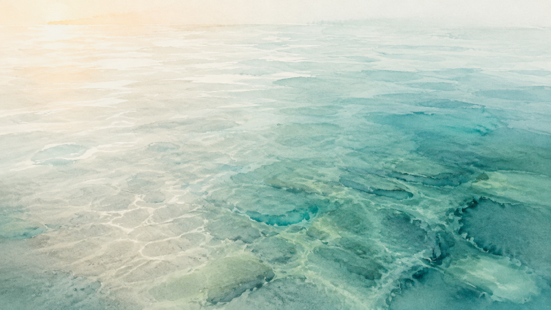 tracce-emergenti-nell-acqua-dell-alba-standard-zjsofj.png