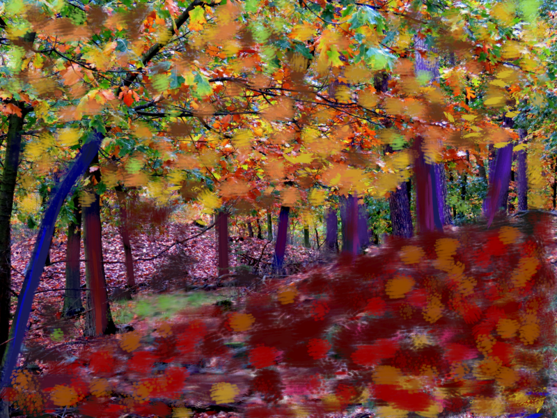 artflow_201910211458-standard.png