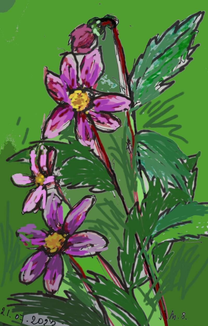 artflow_202307211603-2-standard.jpg