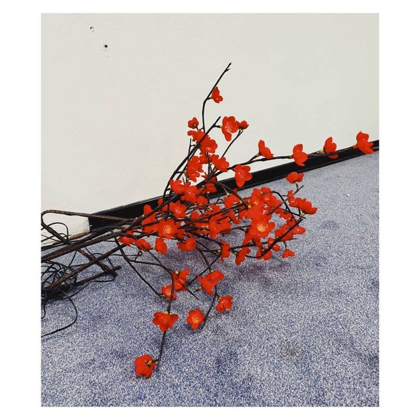 Kunstbloemen Met Lichtjes