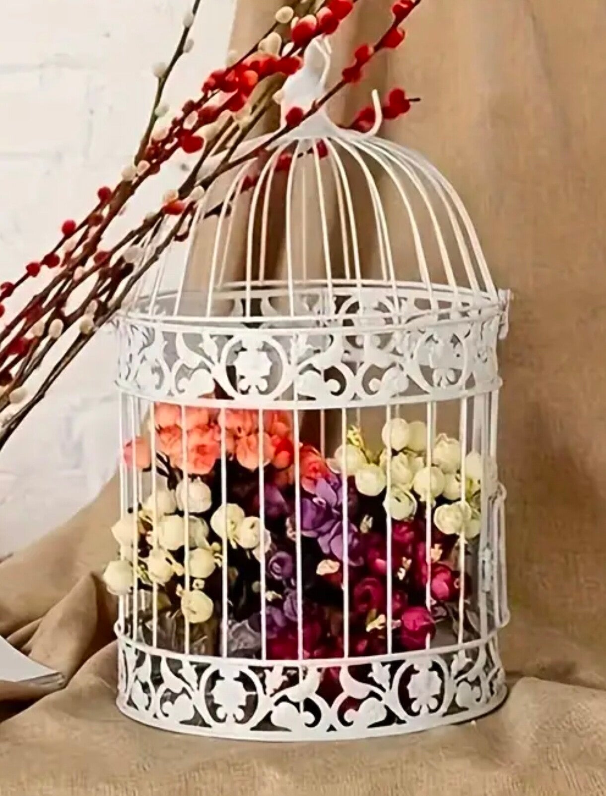 Cage à oiseaux
