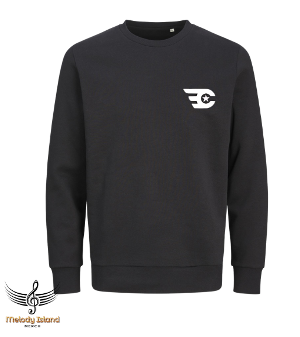 Sweater Enemy Contact - Logo 01