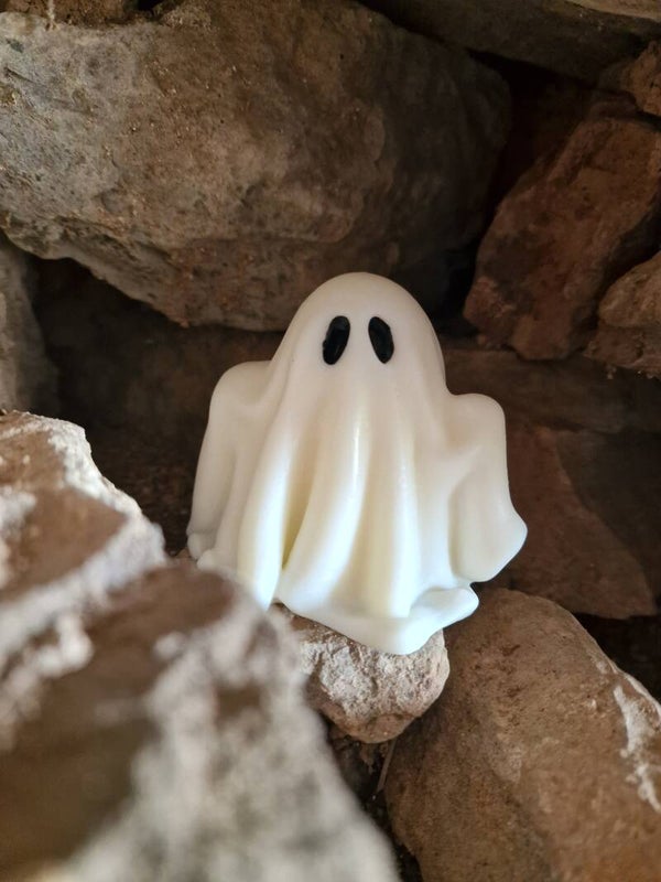 Le Fantôme