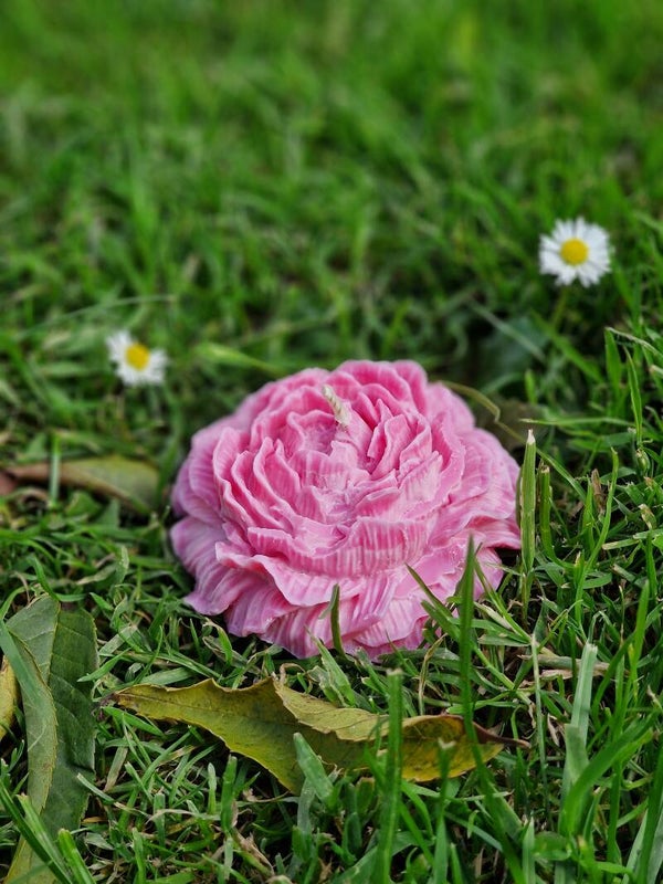 Fleur Pivoine