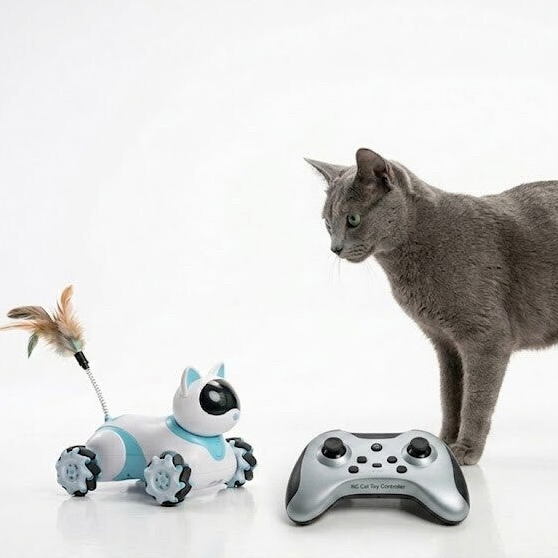 "Gato-Bot" a Control Remoto