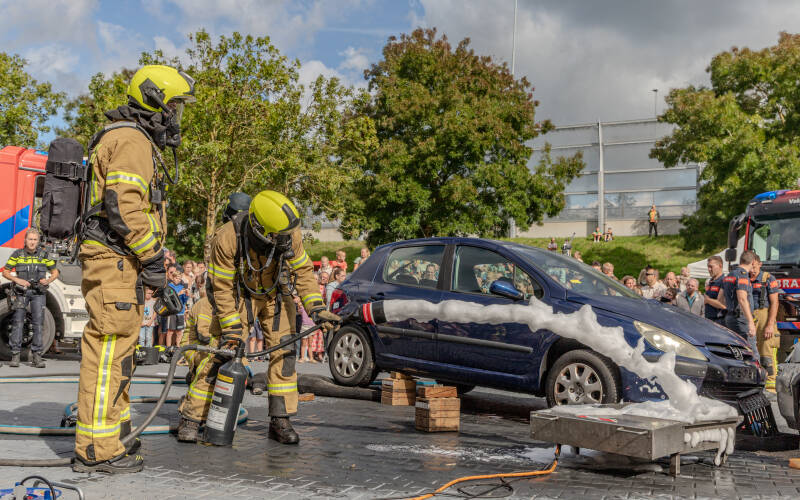 img_2085-standard-mtuj7q.jpg