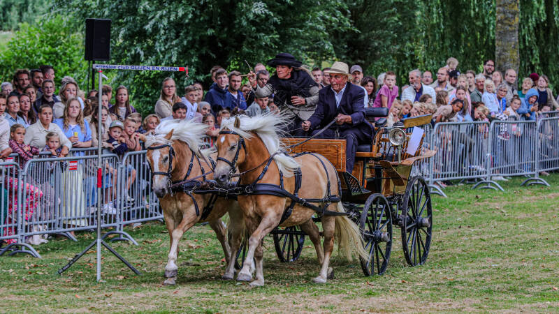 img_9061-standard-43vnmp.jpg