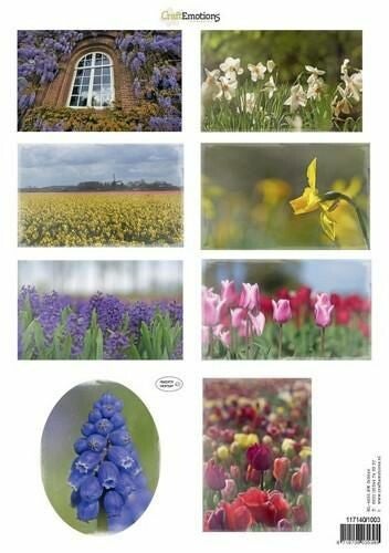 117140/1003 voorjaarsbloemen 3