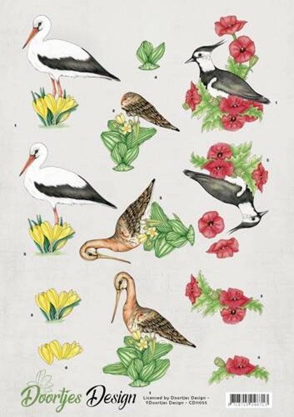 CD11055 meadow birds