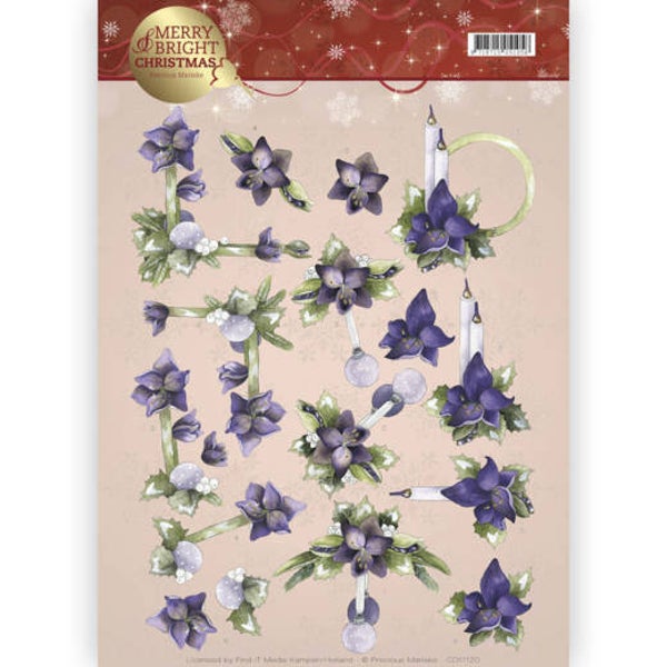 CD11120 amaryllis in purple