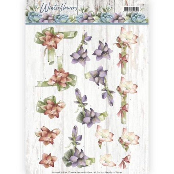 CD11190 amaryllis