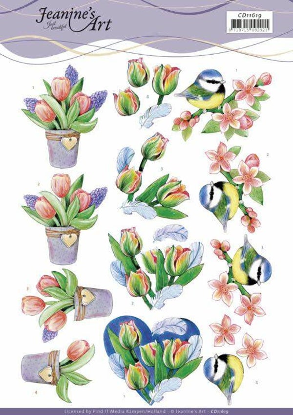 CD11619 tulips & blossom