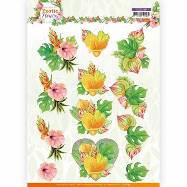 CD11689 orange flowers