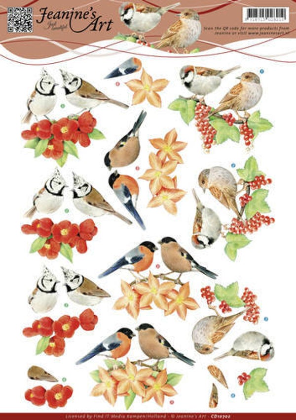 CD10702 rode vogeltjes